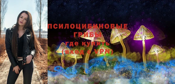 не бодяженный Арсеньев