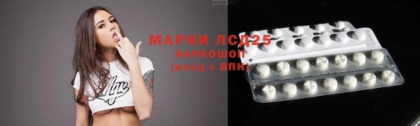 круглые Аркадак