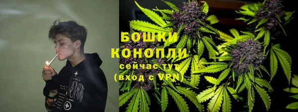 не бодяженный Арсеньев