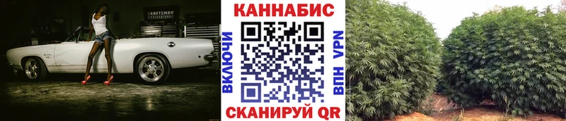 Бошки марихуана марихуана Моршанск